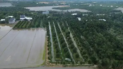 Giải pháp nào giữ đất lúa Đồng bằng sông Cửu Long trước làn sóng chuyển đổi?