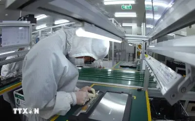 Giám đốc Quỹ Nafosted Đào Ngọc Chiến: Cơ chế tài chính rất thông thoáng, hỗ trợ nhà khoa học