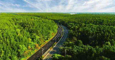 Green Family Walk: Sự kiện gắn kết ba thế hệ tại 'thiên đường xanh' Cần Giờ