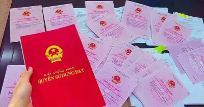 Hà Nội Hướng Dẫn Chi Tiết Thủ Tục Miễn, Giảm Tiền Sử Dụng Đất Và Thuê Đất