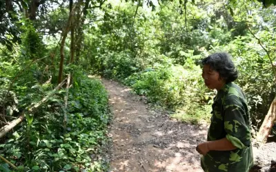 Hai chị em sống biệt lập trên 'ốc đảo' giữa đồng hoang ở Phú Thọ