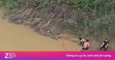 Hai nam sinh Nghệ An lao xuống sông cứu bạn nữ nhảy cầu