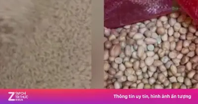 Hiệu Trưởng Mầm Non Đội Cấn Bị Đình Chỉ Vì Lạc Mốc Và Nghi Vấn Gian Lận Thực Phẩm