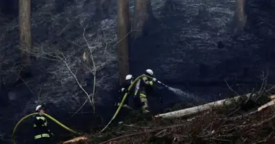 Hơn 1.000 lính cứu hỏa Nhật Bản chống cháy rừng, 3.200 người sơ tán