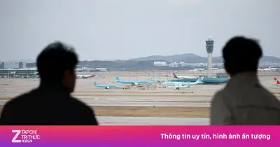 Hàng loạt hãng bay châu Á cắt chuyến, đường bay châu Âu 'nóng' trở lại