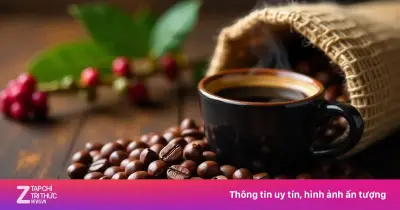 Hành Trình Cà Phê: Từ Ethiopia Đến Toàn Cầu Và Những Tranh Cãi Lịch Sử