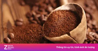 Hành Trình Khám Phá Cà Phê: Từ Hạt Lương Khô Đến Thức Uống Toàn Cầu