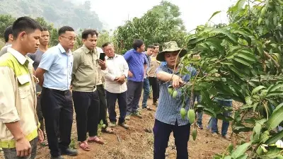 Điện Biên Biệt Phái 52 Cán Bộ Về Xã, Đạt Hiệu Quả Cao Trong Hỗ Trợ Cơ Sở