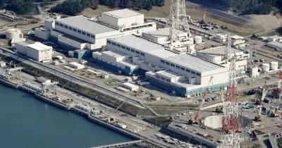 Điện hạt nhân vẫn giữ vai trò quan trọng trong bối cảnh năng lượng tái tạo tăng trưởng