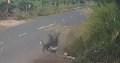 Đắk Lắk: Cán bộ CSGT bị đình chỉ sau vụ tai nạn khiến nam sinh lớp 12 tử vong