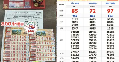 Khách quen trúng 800 triệu đồng vé số, đại lý Vĩnh Long xác nhận bán 16 tờ giải an ủi