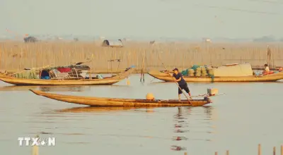 Khám phá thời điểm vàng ngắm bình minh tuyệt đẹp trên phá Tam Giang