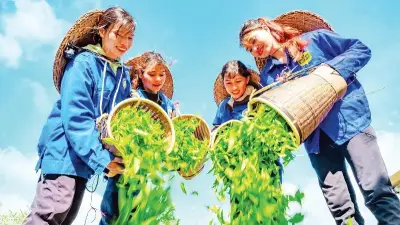 Kon Plông: Hướng tới trung tâm du lịch sinh thái và cộng đồng kiểu mẫu Tây Nguyên