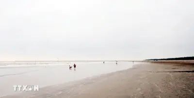 Lễ hội du lịch biển Ninh Bình 2026: Từ non thiêng đến biển rộng