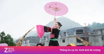 Lễ hội Hoa hồng Fansipan 2026 rực rỡ sắc màu, thu hút du khách dịp Giỗ Tổ