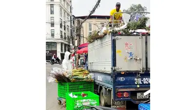 Lao động châu Phi mưu sinh tại chợ hoa Quảng An: 'Việt Nam là nơi dễ sống'