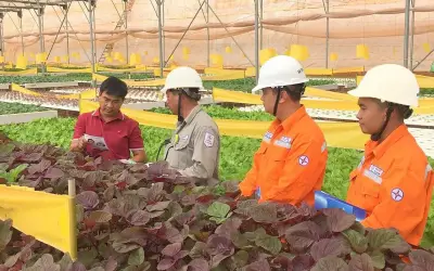 Lịch cúp điện An Giang, Kiên Giang từ 8-12/4: Khu dân cư mất điện từ 5h sáng