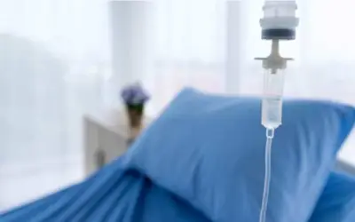 Lạng Sơn: 8 Bệnh Nhân Nhiễm Độc Do Ong Rừng Đốt Đã Được Xuất Viện