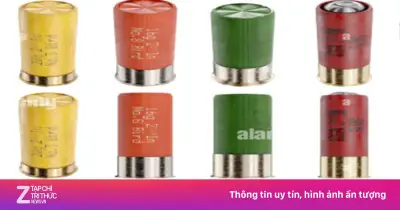 Luật Quản Lý Vũ Khí Mới: Người Dân Cần Lưu Ý Để Tránh Vi Phạm Pháp Luật