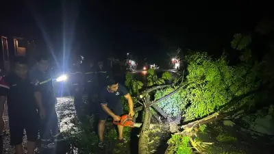 Mưa lớn kèm dông lốc gây thiệt hại nặng tại Lào Cai, ước tính hơn 1 tỷ đồng