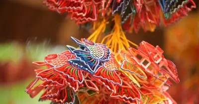 Miễn phí tham quan vườn ánh sáng đặc biệt tại Văn Miếu - Quốc Tử Giám