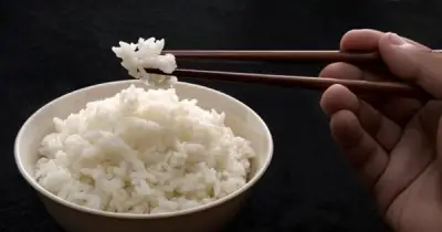 Mẹo bảo quản cơm nguội trong ngăn mát tủ lạnh, hấp lại vẫn ngon như mới