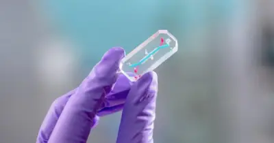 NASA Đưa 'Bản Sao' Tế Bào Phi Hành Gia Lên Vũ Trụ Trong Sứ Mệnh Artemis 2