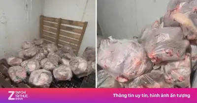 Đồng Nai chặn hơn 500 kg thịt heo bốc mùi hôi thối chuẩn bị tuồn ra thị trường