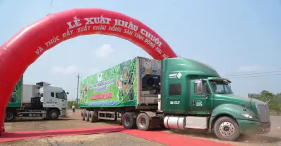 Đồng Nai xuất khẩu 220 tấn chuối một ngày, hướng tới thị trường tỷ đô