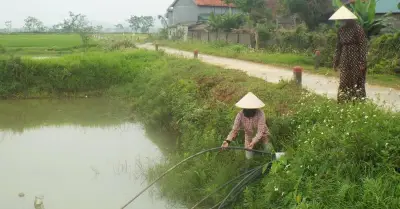 Người dân phải dùng nước ao hồ sinh hoạt giữa nắng nóng gay gắt