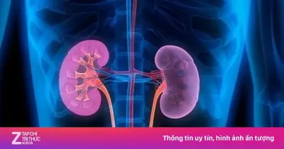 Người đàn ông 35 tuổi suy thận vì thói quen ăn hàng quạt