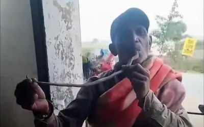 Người đàn ông Ấn Độ tử vong sau khi cố đưa đầu rắn hổ mang vào miệng