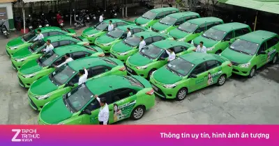 Ngân hàng Nam Á siết nợ 5 ô tô điện của Mai Linh Lào Cai