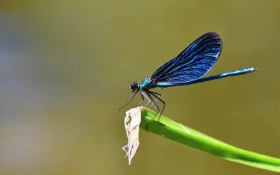 Ngày sinh âm lịch tiết lộ cuộc đời: Trẻ nhiều thử thách, về già an vui như ý