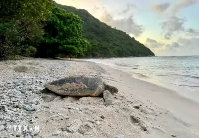 Ngày Trái Đất 22/4: Sức mạnh của chúng ta, hành tinh của chúng ta