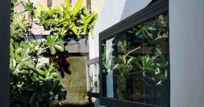 Những Dấu Hiệu Phong Thủy Tốt Cho Ngôi Nhà: Từ Cây Xanh Đến Gia Đình Hòa Thuận