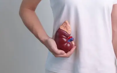 Những thói quen sinh hoạt tưởng vô hại nhưng âm thầm hủy hoại thận của bạn