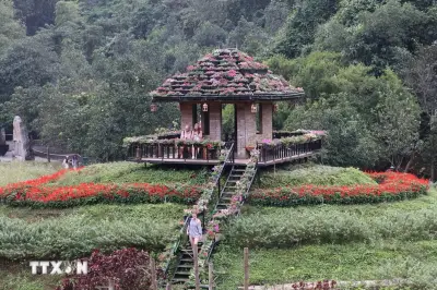 Ninh Bình: Đảo Hoa Bốn Mùa Khoe Sắc Giữa Thiên Nhiên Di Sản Tràng An