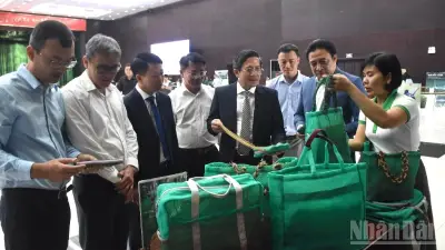 Đà Nẵng Kiên Định Chuyển Đổi Xanh, Hướng Tới Đô Thị Sinh Thái Và Thông Minh