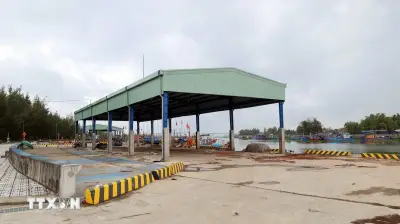 Đà Nẵng phản hồi thông tin Cảng cá Hồng Triều sắp có đơn vị quản lý