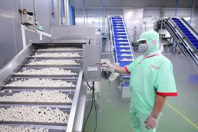 Nút thắt tín dụng cho doanh nghiệp nhỏ và vừa: Cần cách tiếp cận mới