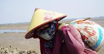 Phụ nữ Hà Tĩnh bám bãi bùn mò cua bắt ốc giữa nắng nóng gay gắt