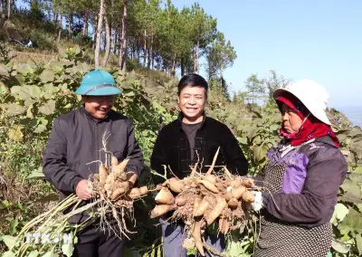 Phân bổ vốn ngân sách địa phương cho xây dựng nông thôn mới giai đoạn 2026-2030