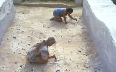 Phát Hiện Bảo Vật 500.000 Năm Tuổi Do Loài Người Khác Chế Tác