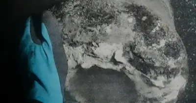 Phát hiện xác tàu chiến Đan Mạch 225 năm dưới đáy biển Copenhagen