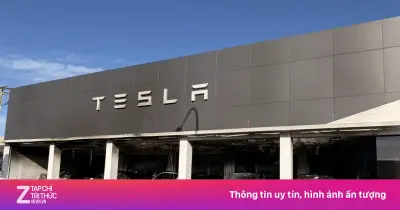 Showroom Tesla tại Sydney bị phóng hỏa giữa đêm, nhiều xe điện bị thiêu rụi