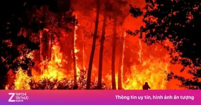 Siêu El Nino Có Thể 'Tái Xuất' Năm 2026: Tác Động Ra Sao Đến Thời Tiết Việt Nam?