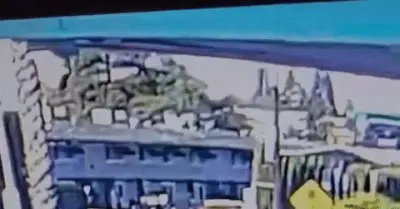 Siêu xe Ford GT 2,5 triệu USD hư hỏng nặng sau tai nạn với xe tải