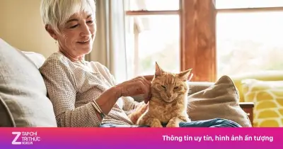 Sống Độc Lập Tuổi Già: Xu Hướng Tất Yếu Hay Bài Toán Tâm Lý Phức Tạp?