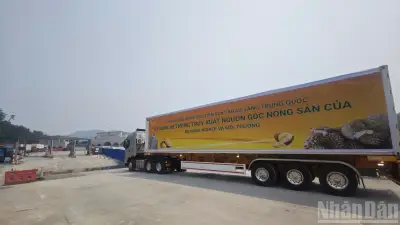 Sầu Riêng Việt Xuất Khẩu Theo Luồng Xanh: Bước Đột Phá Trong Truy Xuất Nguồn Gốc